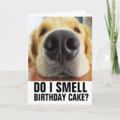 SMEL IK BIRTHDAY CAKE? FUNNY CLOSEUP DOG KAARTEN (Voorkant)