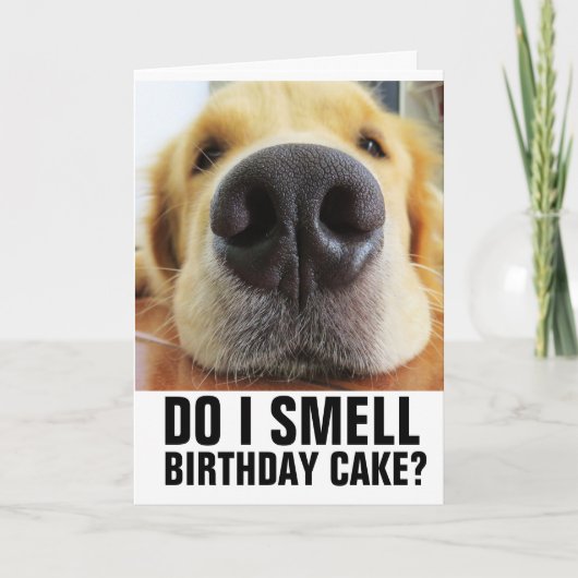 SMEL IK BIRTHDAY CAKE? FUNNY CLOSEUP DOG KAARTEN (Voorkant)