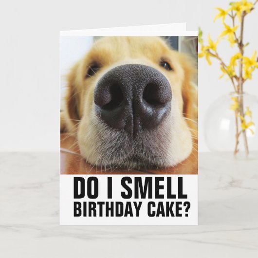 SMEL IK BIRTHDAY CAKE? FUNNY CLOSEUP DOG KAARTEN (Gele Bloem)