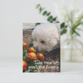 Smell the Flowers Briefkaart (Staand voorkant)