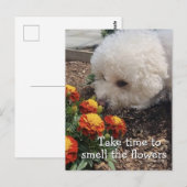 Smell the Flowers Briefkaart (Voorkant / Achterkant)