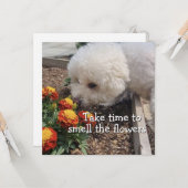 Smell the Flowers Kaart (Voorkant / Achterkant in situ)