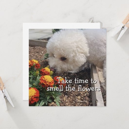 Smell the Flowers Kaart (Voorkant / Achterkant in situ)