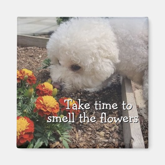 Smell the Flowers Magneet (Voorkant)