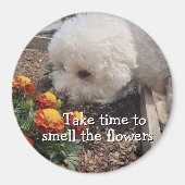 Smell the Flowers Magneet (Voorkant)