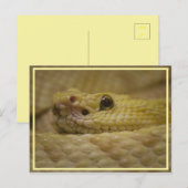 smell your fear! briefkaart (Voorkant / Achterkant)