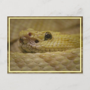 smell your fear! briefkaart