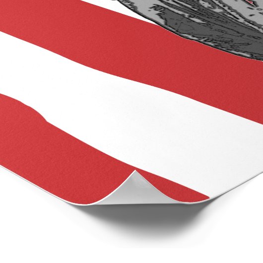 Smelten van de Amerikaanse vlag Vrijheid Poster (Hoek)