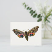 Smerinthus ocellata - Oyed Hawk-Moth - Color Image Briefkaart (Staand voorkant)