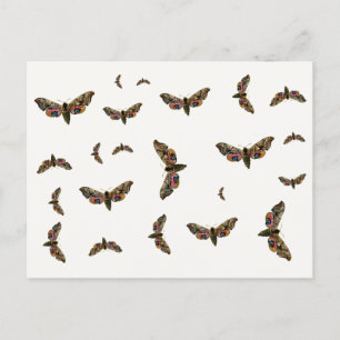 Smerinthus ocellata - Oyed Hawk-Moth - Color Image Briefkaart