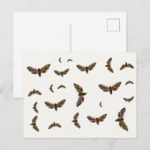 Smerinthus ocellata - Oyed Hawk-Moth - Color Image Briefkaart (Voorkant / Achterkant)