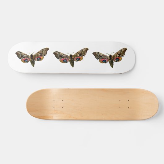 Smerinthus ocellata - Oyed Hawk-Moth Color Image Persoonlijk Skateboard (Horizontaal)