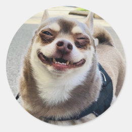 Smile Big Huey Ronde Sticker