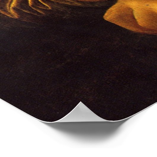 Smile en eet Tofurkey Poster (Hoek)