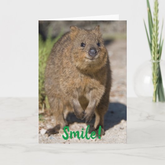Smile / Get Well Soon, Happy Quokka, Australië Kaart (Voorkant)