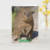 Smile / Get Well Soon, Happy Quokka, Australië Kaart (Gele Bloem)
