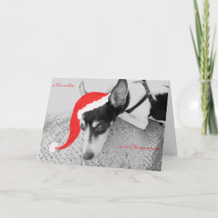 Smile, het is Kerstmis, Kaart met Rat Terrier