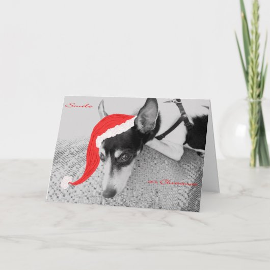 Smile, het is Kerstmis, Kaart met Rat Terrier (Voorkant)