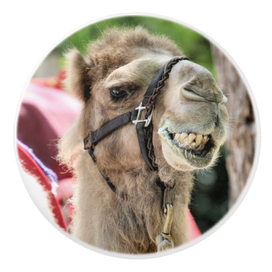 Smile Keramische Knop (Voorkant)