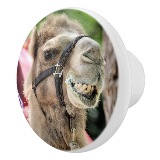 Smile Keramische Knop (Rechts)