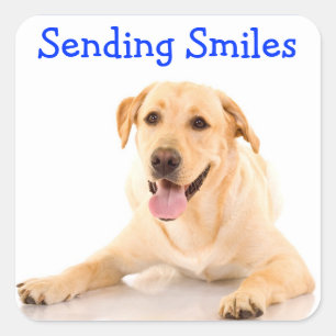 Smile Labrador Retriever Dog Sticker Labels