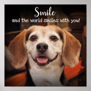 Smile Quote Cute Beagle Dog glimlach foto Poster