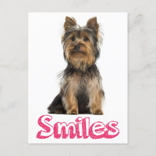 Smile Yorkshire Terrier Puppy Dog Blank Post Card Briefkaart
