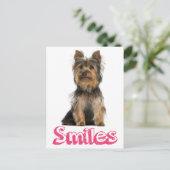 Smile Yorkshire Terrier Puppy Dog Blank Post Card Briefkaart (Staand voorkant)