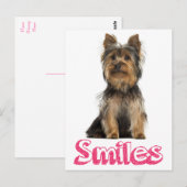 Smile Yorkshire Terrier Puppy Dog Blank Post Card Briefkaart (Voorkant / Achterkant)