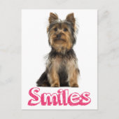 Smile Yorkshire Terrier Puppy Dog Blank Post Card Briefkaart (Voorkant)