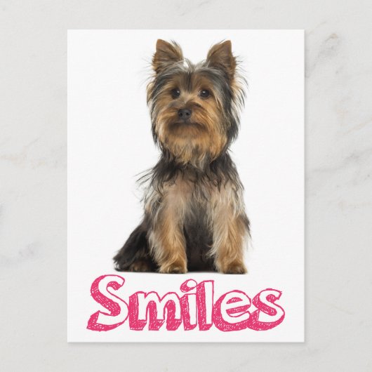 Smile Yorkshire Terrier Puppy Dog Blank Post Card Briefkaart (Voorkant)
