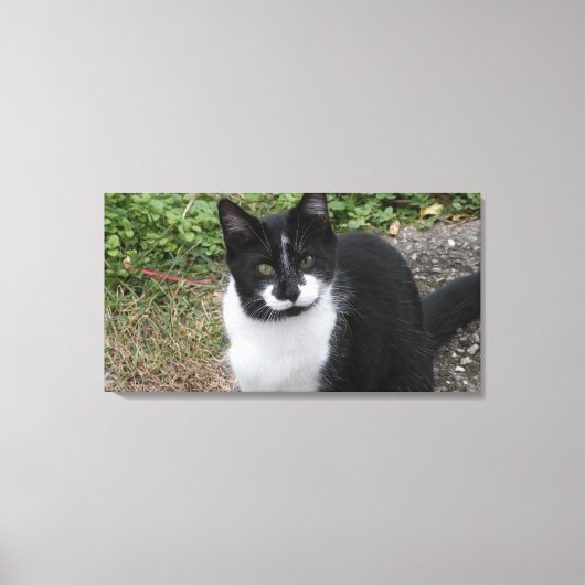 Smiler Charity  Canvas Afdruk (Voorkant)