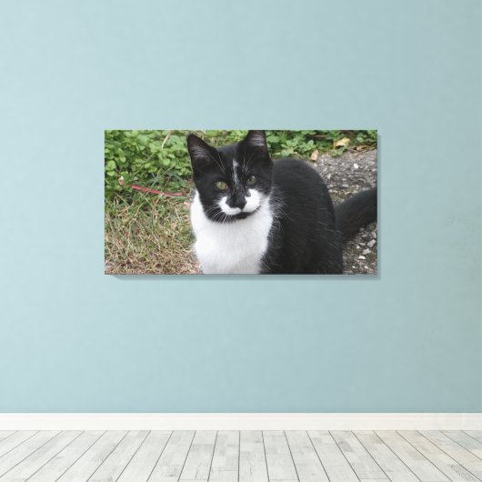 Smiler Charity  Canvas Afdruk (Insitu (Houten vloer))