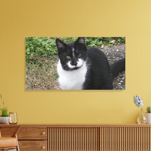 Smiler Charity  Canvas Afdruk (Insitu (Woonkamer))