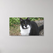 Smiler Charity  Canvas Afdruk (Voorkant)