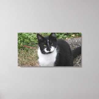 Smiler Charity  Canvas Afdruk