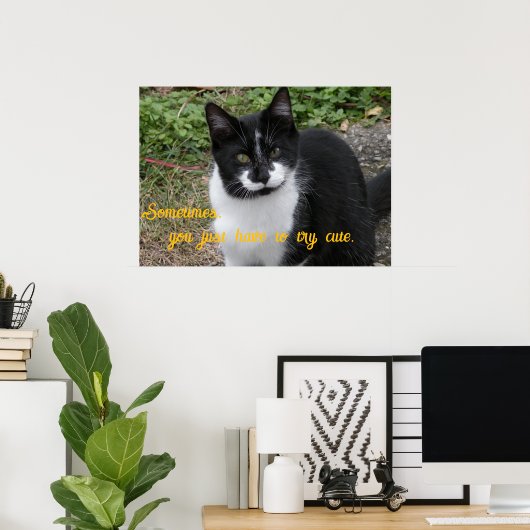 Smiler says- Sometimes, you just have to try cute. Poster (Thuiskantoor)