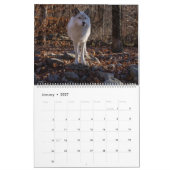 Smiles voor wolven 2025 Kalender (Jan 2027)