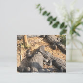 Smilin' Alligator Briefkaart (Staand voorkant)