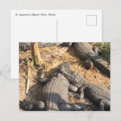 Smilin' Alligator Briefkaart (Voorkant / Achterkant)