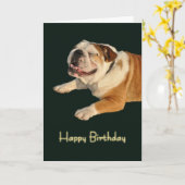 Smiling Bulldog Birthday Card Kaart (Gele Bloem)