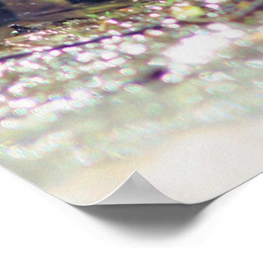 Smiling Bullfrog Animal Poster (Hoek)