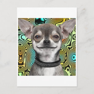 Smiling Chihuahua Dog Briefkaart