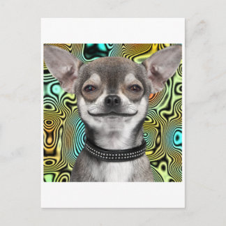 Smiling Chihuahua Dog Briefkaart