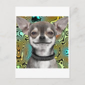 Smiling Chihuahua Dog Briefkaart (Voorkant)