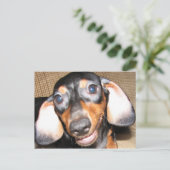 Smiling Dachshund Briefkaart (Staand voorkant)
