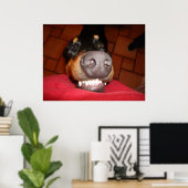 SMILING DOBERMAN POSTER (Thuiskantoor)