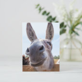 Smiling Donkey Briefkaart (Staand voorkant)