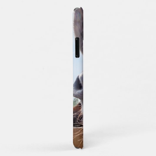 Smiling Donkey Case-Mate iPhone Case (Achterkant/rechts)