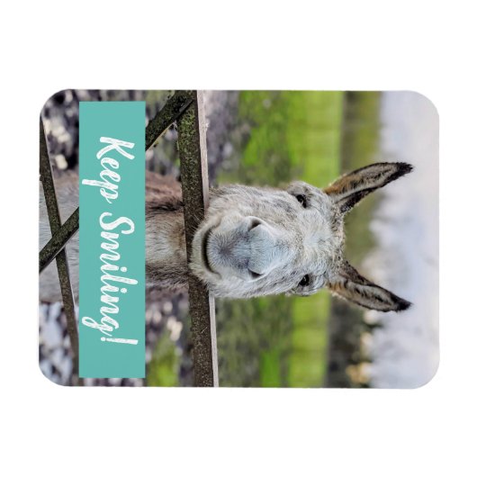 Smiling Donkey "Keep Smiling" Magnet Magneet (Horizontaal)